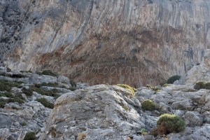 Getting closer to that cave...