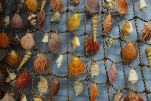 Shell Wall, Symi Island